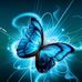 Profile Picture of Jody Alves (@jody.alves.140) on Facebook