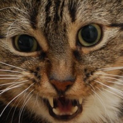 Profile Picture of Dillon Bly (@dillonbly) on Twitter