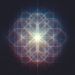 Profile Picture of Jeff Harmon (@jeffbugbee) on Pinterest