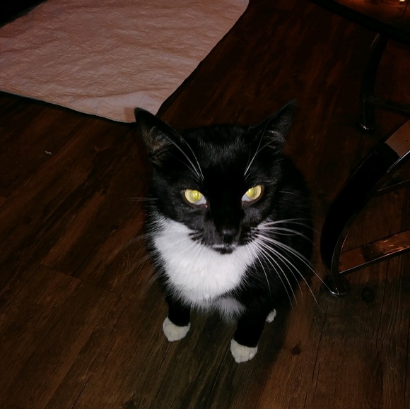 Profile Picture of Holly Manheim (@holbol) on Poshmark