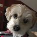 Profile Picture of Alex Bollingmo (@alexbollingmo) on Pinterest
