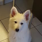 Profile Picture of Richard Harnisch (@Richard-Harnisch) on Facebook