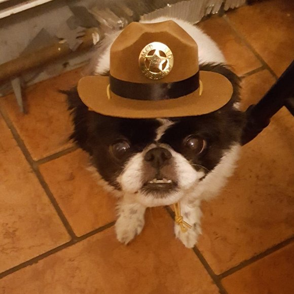 Profile Picture of Chris Bitteker (@tincrazed) on Poshmark