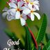 Profile Picture of Sk Sapna Singh (@sksapna.singh.9) on Facebook
