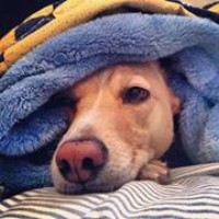 Profile Picture of Sam Benothman (@sam-benothman) on Quora