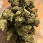 Profile Picture of jasontyler690 (@jasontyler690) on Instagram