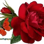 Profile Picture of Janete Tamura (@janete.tamura) on Facebook