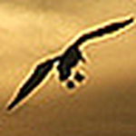 Profile Picture of Alexandra Gonzalez (@onecloudfortwo) on Flickr