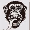 Profile Picture of Yourmomsatthezoo (@michaelpritt3) on Tiktok