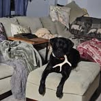 Profile Picture of Bill Howe (@bill.howe.134914) on Facebook