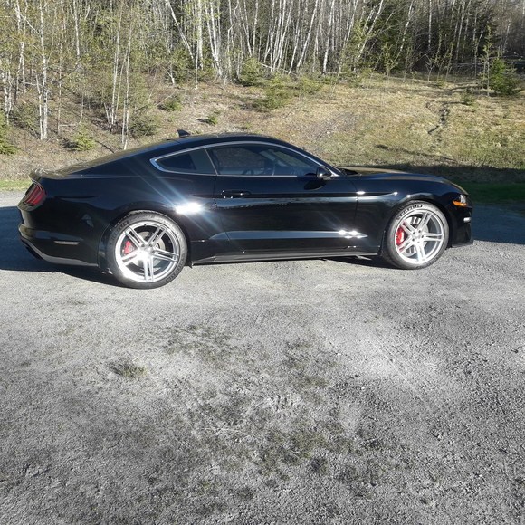 Profile Picture of Lawrence Moraze (@lsmoraze) on Poshmark