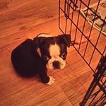 Profile Picture of Adam Kochański (@kochanskiadam) on Instagram