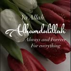 Profile Picture of Huda Ayubi (@Huda-Ayubi) on Facebook