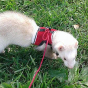 Profile Picture of Christopher Emmons (@christopheremmons1658) on Youtube