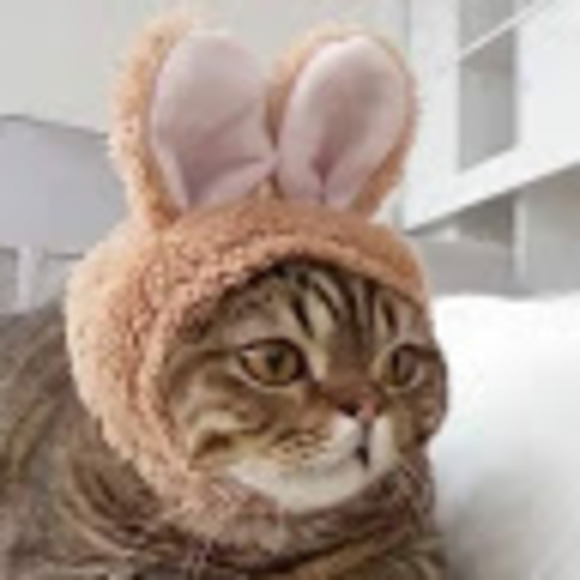 Profile Picture of Attie Davis (@acd310) on Poshmark
