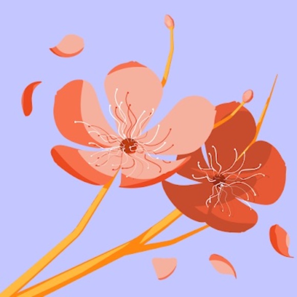 Profile Picture of Kira Hetzner (@881115) on Poshmark