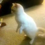 Profile Picture of Zachary Salinas (@zacharysalinas) on Instagram