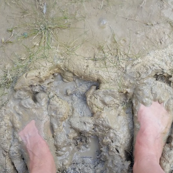 Profile Picture of Fern Thompson (@fernthompson442) on Poshmark