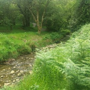 Profile Picture of Carolina Mateo (@Carol_surpriise) on Twitter