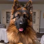 Profile Picture of Walter Ferro (@Walter-Ferro) on Facebook