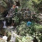 Profile Picture of Lily Ruiz (@lilyr4u) on Instagram