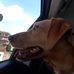 Profile Picture of Vincenzo Caracciolo (@Vincenzo-Caracciolo) on Facebook