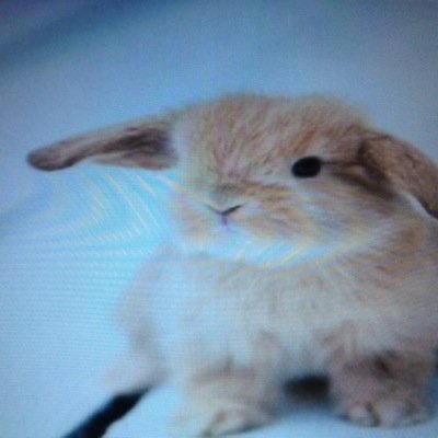 Profile Picture of Lisa Perro (@MamaThev) on Twitter