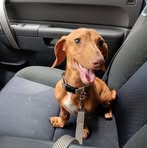 Profile Picture of Joyce Darnell Lacher (@joyce.darnell.lacher) on Facebook