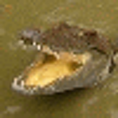 Geoffrey Griffith - Twitter Profile Picture of Geoffrey Griffith (@utsukg) on Twitter