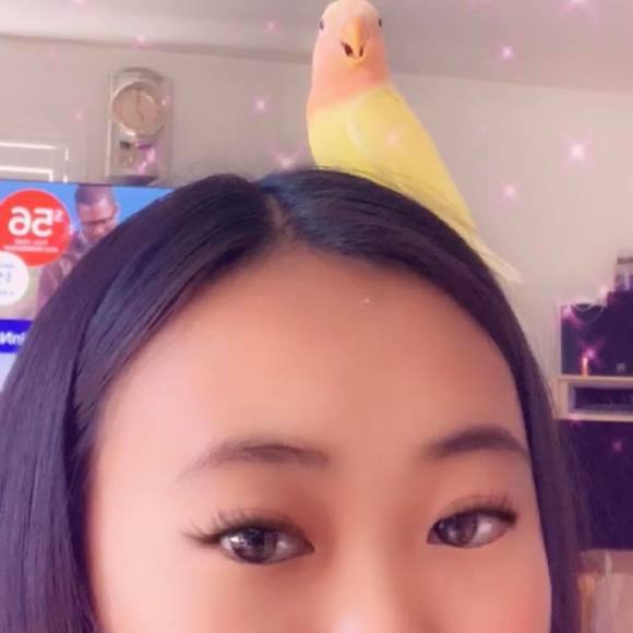 Profile Picture of Michelle Pham (@myshells12) on Poshmark