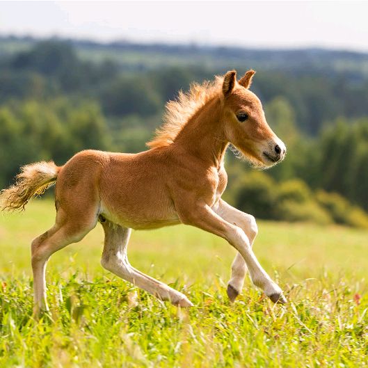 Profile Picture of Miranda Byrne (@mirandabyrne3) on Tiktok