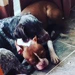 Profile Picture of Vernon Patterson (@vernon.patterson.313) on Instagram