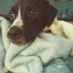 Profile Picture of bree summers (@breezybop2006) on Instagram