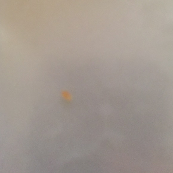 Bun Bun - Poshmark Profile Picture of Bun Bun (@nansaaa) on Poshmark