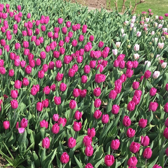 Profile Picture of Jennifer Logothetis (@jlogo123) on Poshmark