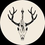 Profile Picture of Daniel Crosson (@roguenationphotography) on Instagram
