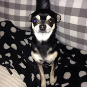 Profile Picture of Chloe Driver (@chloedriver8294) on Youtube