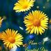 Profile Picture of Keitha Green (@keitha.green.794) on Facebook