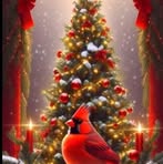 Profile Picture of Lisa Gocek (@Lisa-Gocek) on Facebook