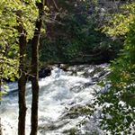 Profile Picture of Richard Scalia (@richard.scalia.5) on Instagram