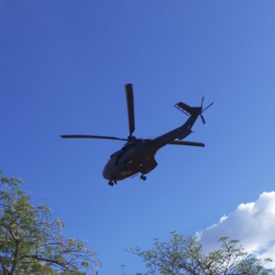 Profile Picture of Andrew Pester Faltein (@PesterAndrew) on Twitter
