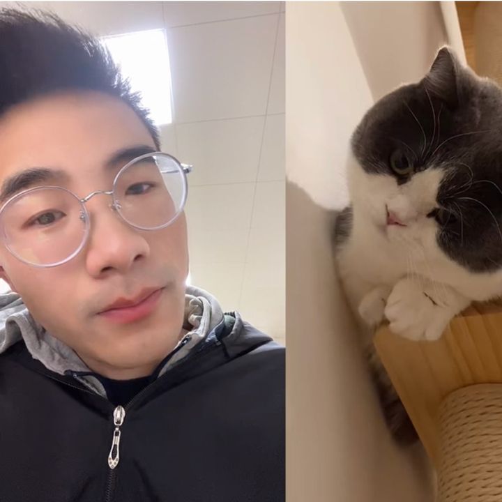 Profile Picture of David Herbert (@greenblue650) on Tiktok
