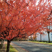 Profile Picture of Taylor Tanner (@taylortanner8554) on Youtube