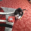 Profile Picture of Kerry Calvert (@@kerrycalvert0) on Tiktok