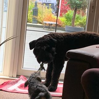 Profile Picture of Marjan Swart (@marjan.swart) on Facebook