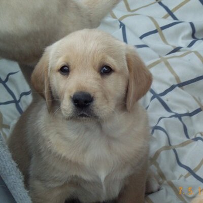 Profile Picture of Sam Wiegand (@Sparklebabe81) on Twitter