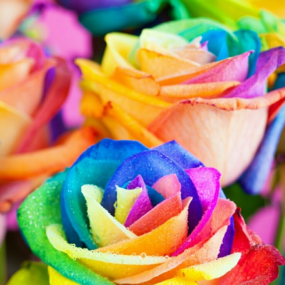 Chrissy Argiris - Poshmark Profile Picture of Chrissy Argiris (@cargi) on Poshmark