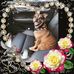 Profile Picture of Craiger Cebert (@craiger.cebert) on Facebook