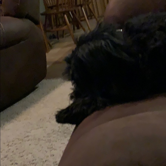 Profile Picture of Brock Bearshield (@brockbearshield) on Poshmark