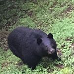 Profile Picture of Christopher Crabtree (@crabtree.christopher_55) on Instagram